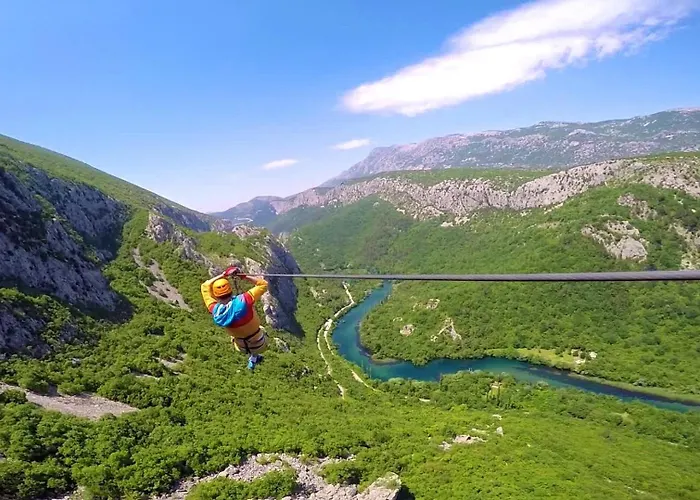 Poolside Paradise Srijane