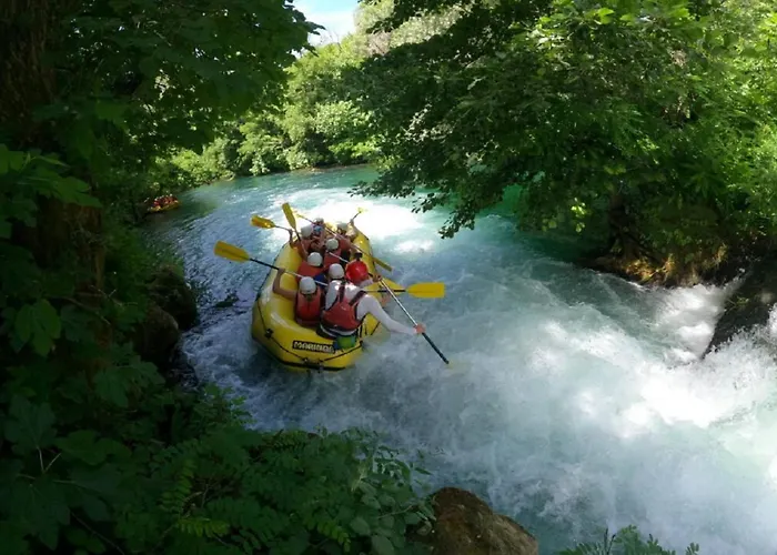 Poolside Paradise Srijane